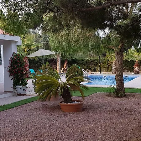 Bacarot Αλικάντε