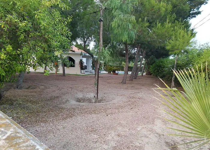 Bacarot * אליקאנטה