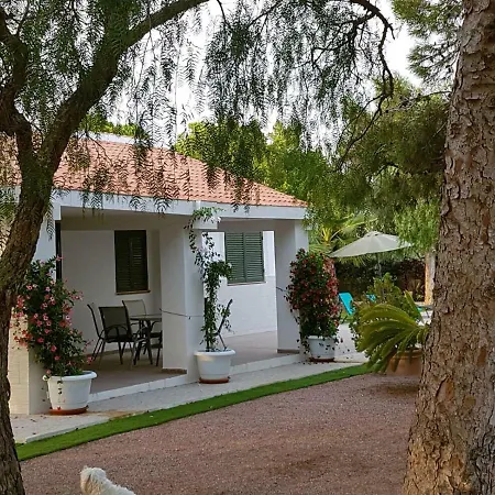 Bacarot 알리칸테