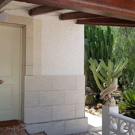 Bacarot 알리칸테