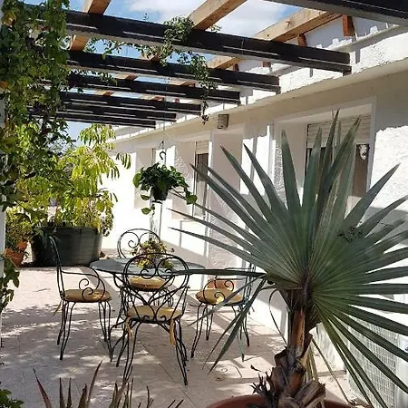 Bacarot 알리칸테